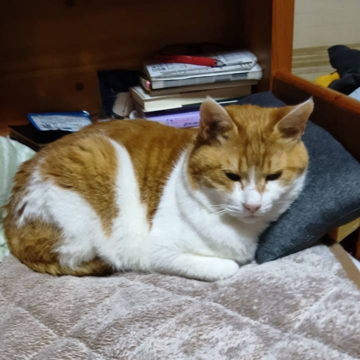 9ad0b404 aa21 43d6 8521 d4264c51a10d 1772088685043