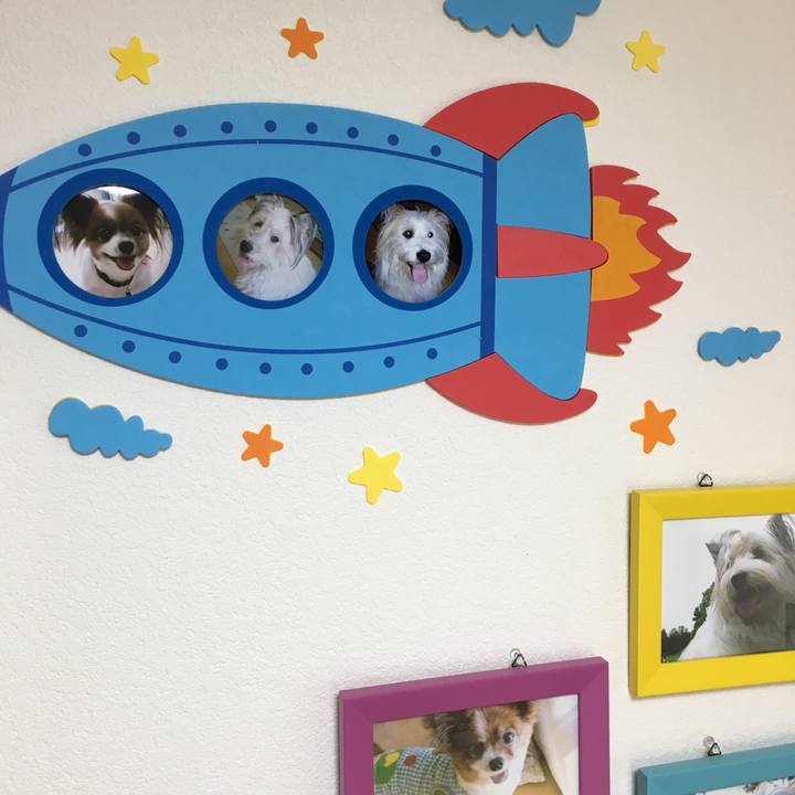 9ad11717 1e96 42ed 9a29 b4924c3dd5ad 1536721020849