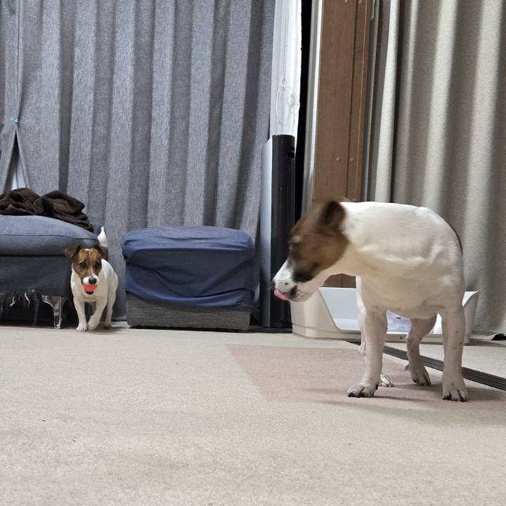 9ad15245 c9ac 4327 903d dda97c563d29 1772097895250