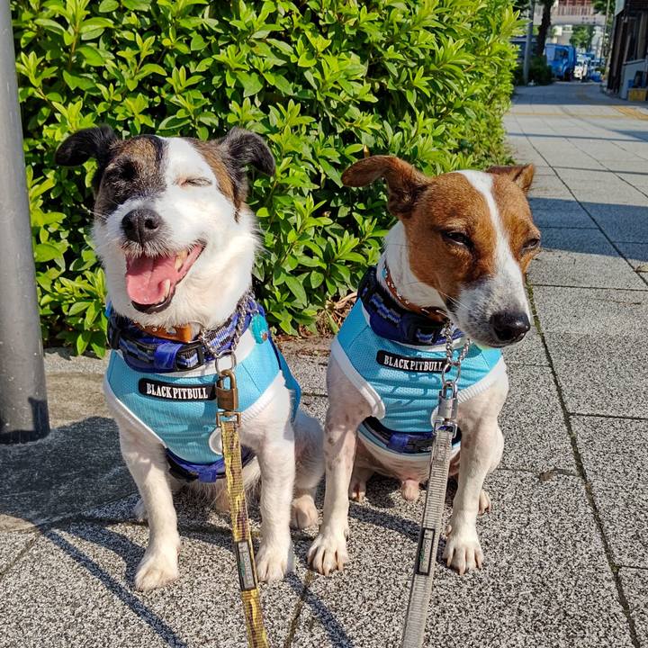 9ad16251 9b21 4b8a 9f80 f9b91ea3b051 1623104686041