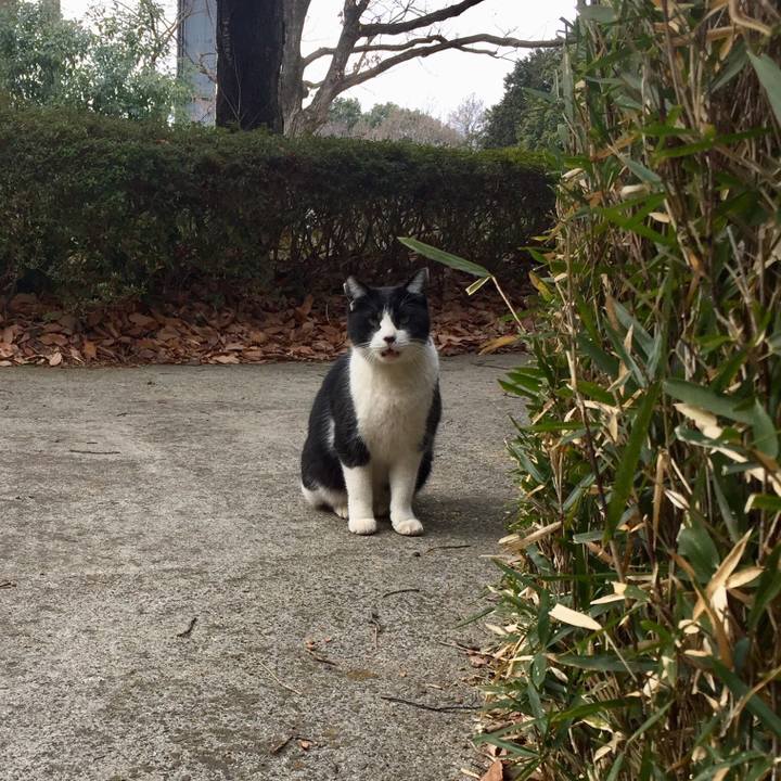 9ad18d8f 1f02 41bb 86e2 1fbfbcd3b514 1517474709591