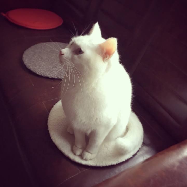 9ad1a2d4 e170 4a71 ac7b 9f76f38056be 1515802401202