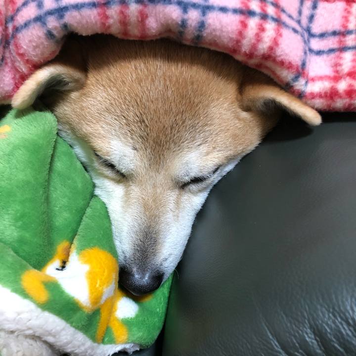 9ad1bd4e 614c 4fa1 8d2d 9df37db7e1fd 1582984284171