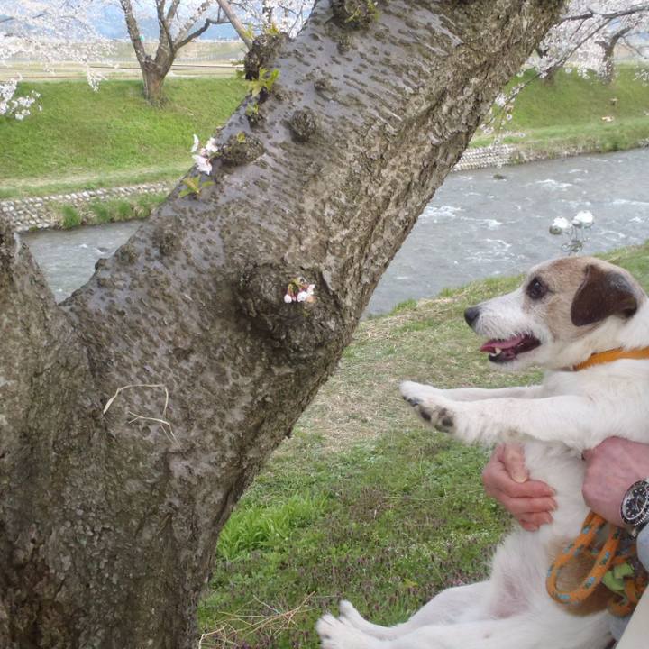 9ad1d8a2 8f79 4c75 af0b bbb892dd9e12 1555161114924