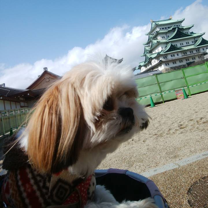 9ad2063f 9cf7 4126 b38b d2ac4a643c4b 1518350476094