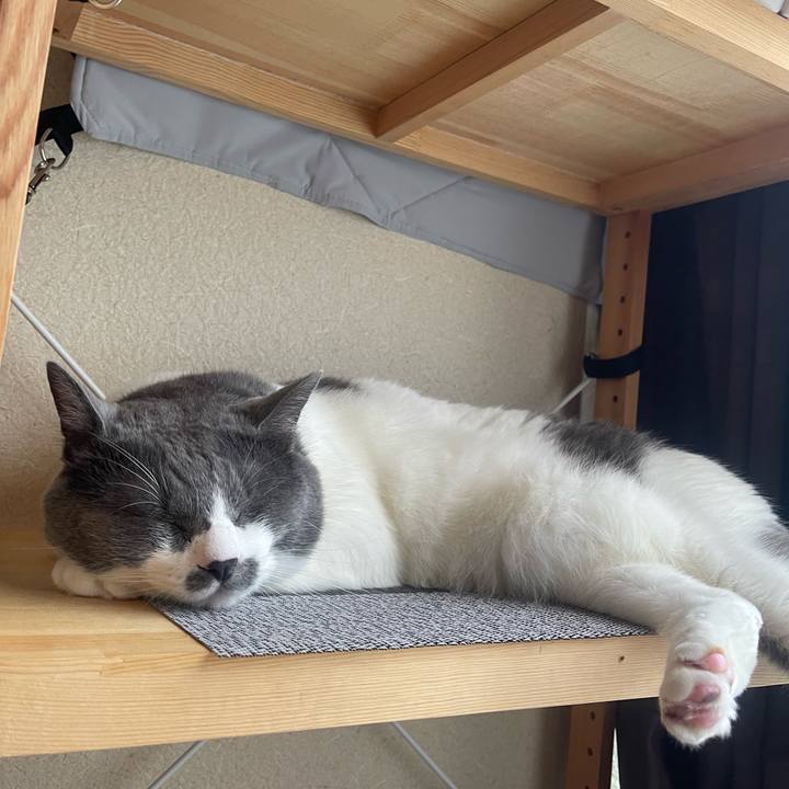 9ad21f3f 4c06 4f2d b3d0 21b9cb18b6a6 1751782803781