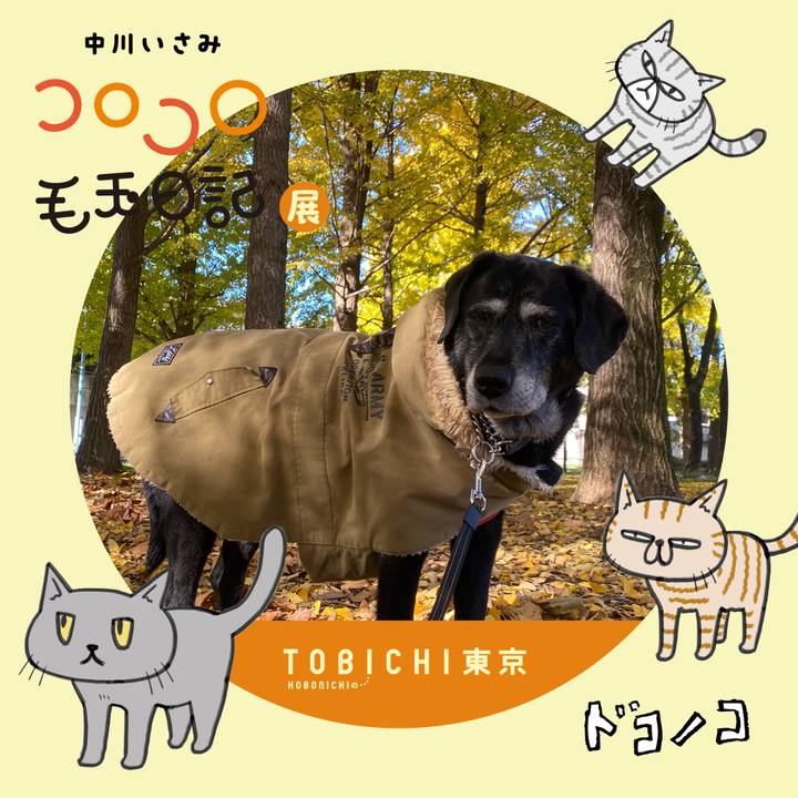 9ad24bb6 e6f8 4740 bcdf 23780097c2e8 1740218458724