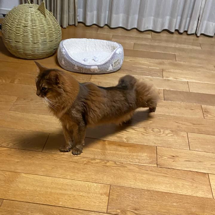 9ad2670e 2db7 44c0 81c5 52009482e382 1675988927249