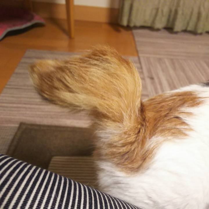 9ad27373 7581 4182 b045 d628ea4cdb11 1562332543472