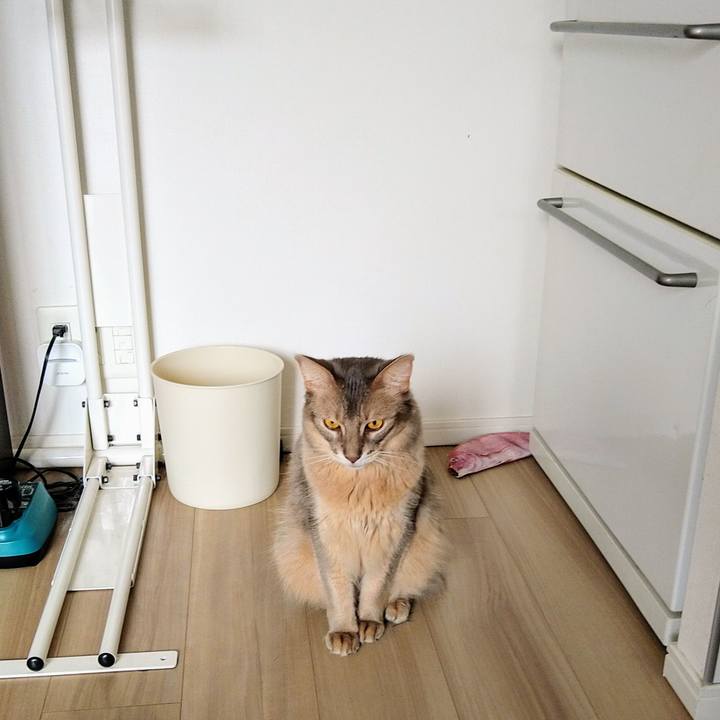 9ad279d9 88d2 49b9 8c93 0dc496ed9684 1602467595841