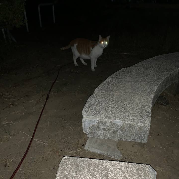 9ad27edb 9a52 4ad4 8601 ca8b334a7068 1592395434308