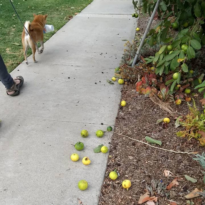 9ad296df 02c6 4abd 8937 fbffefd20e45 1507684459706