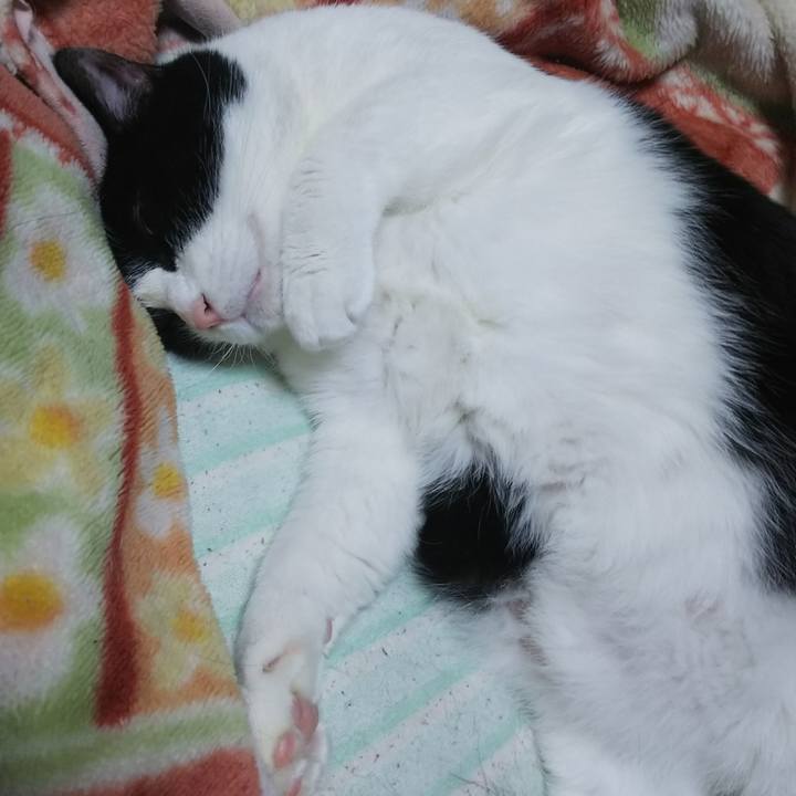 9ad29add ab73 4f03 9283 953329942b8b 1539946699887