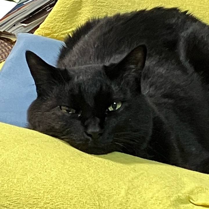 9ad2be66 987c 476f b74a 290da7b55190 1747181003793