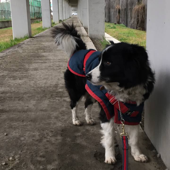 9ad2bedf d36d 44cc 9090 55839dc3b103 1520551871838