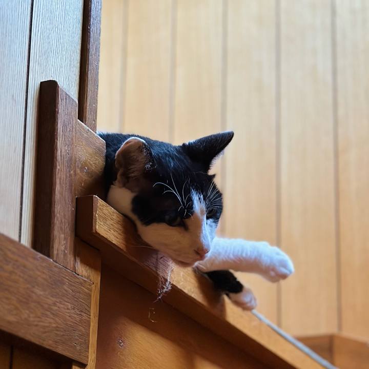 9ad2c735 b69d 4691 9cc3 282711643367 1722554860200