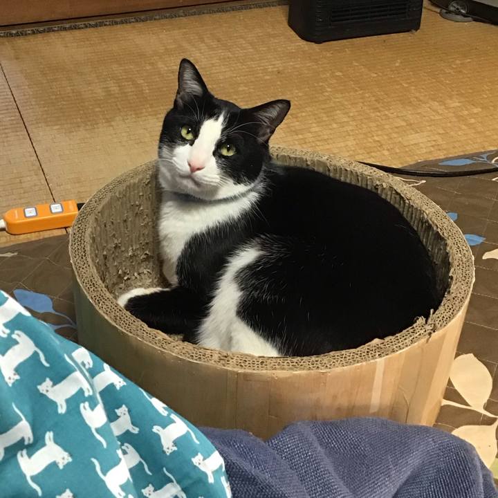 9ad2d334 5a9e 4c44 9738 9f24280254a0 1741597806733