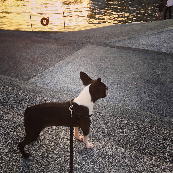 9ad2e45b 6b88 4bb7 832b 609c3e3d0060 1541778930144