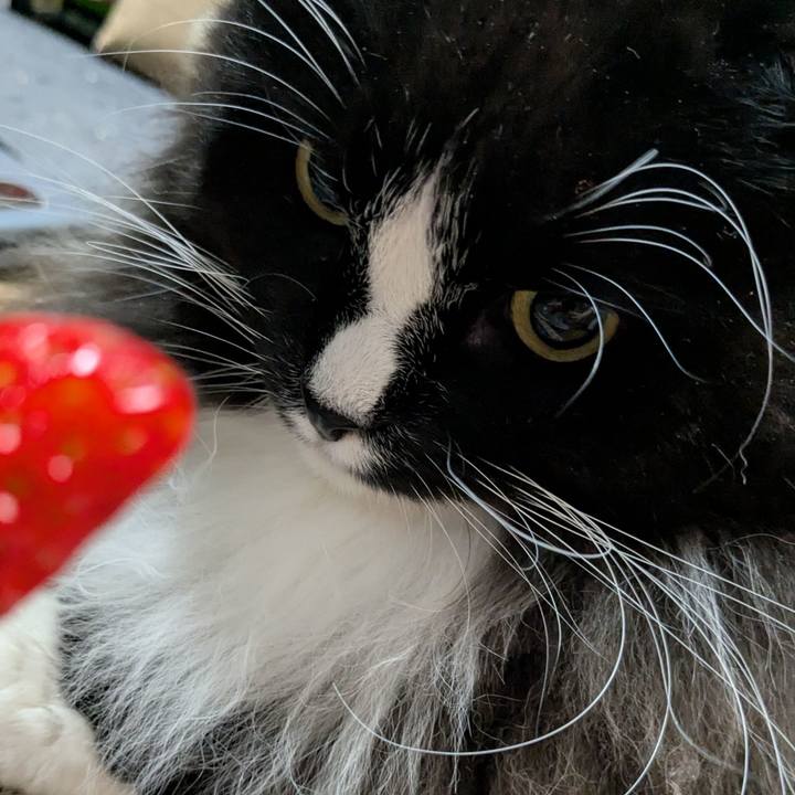 9ad2fa4a 4e8c 4d7f a5b9 e47b45718280 1737460290843