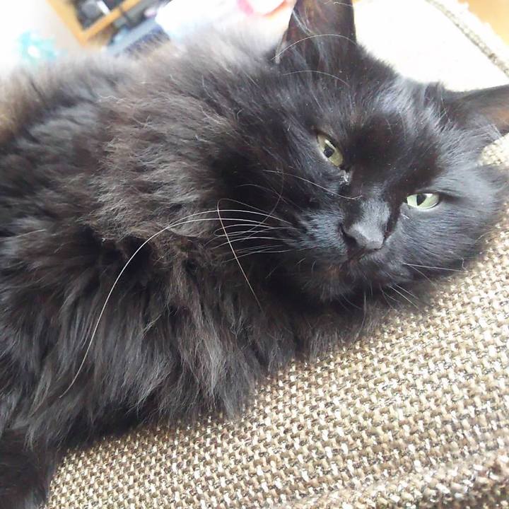 9ad326d3 80fe 4857 a608 9e8c4e48c0e3 1546055669026