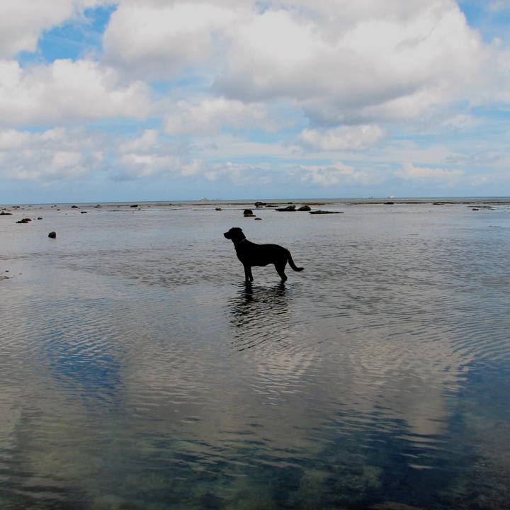 9ad35218 5d5c 4f0c 9408 f45fc2179170 1569767819414