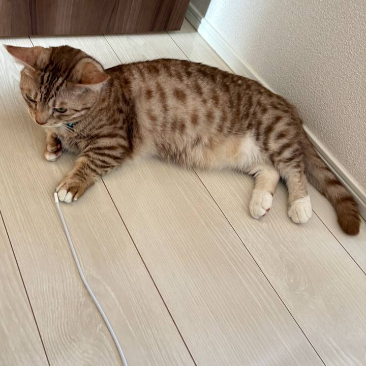 9ad36b0a a0b9 4069 a622 edead892527c 1753831808068