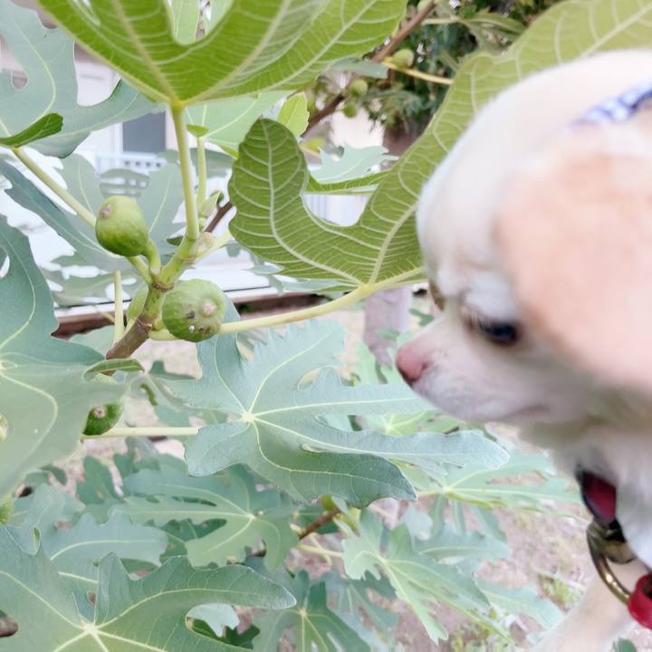 9ad38364 a7ae 4a81 bf56 b7fb6f6e898a 1697203664036