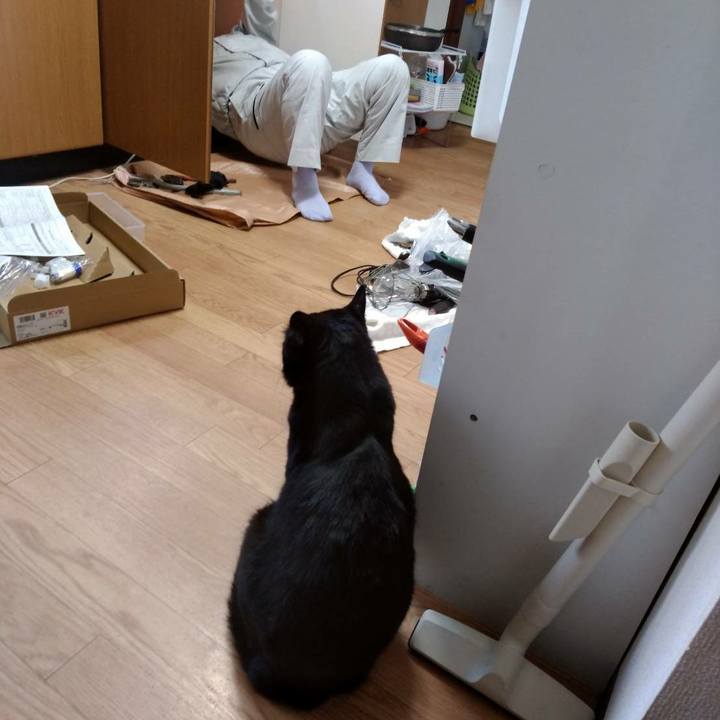 9ad3861f ecf2 4044 86df 1226a77b69db 1590284388466