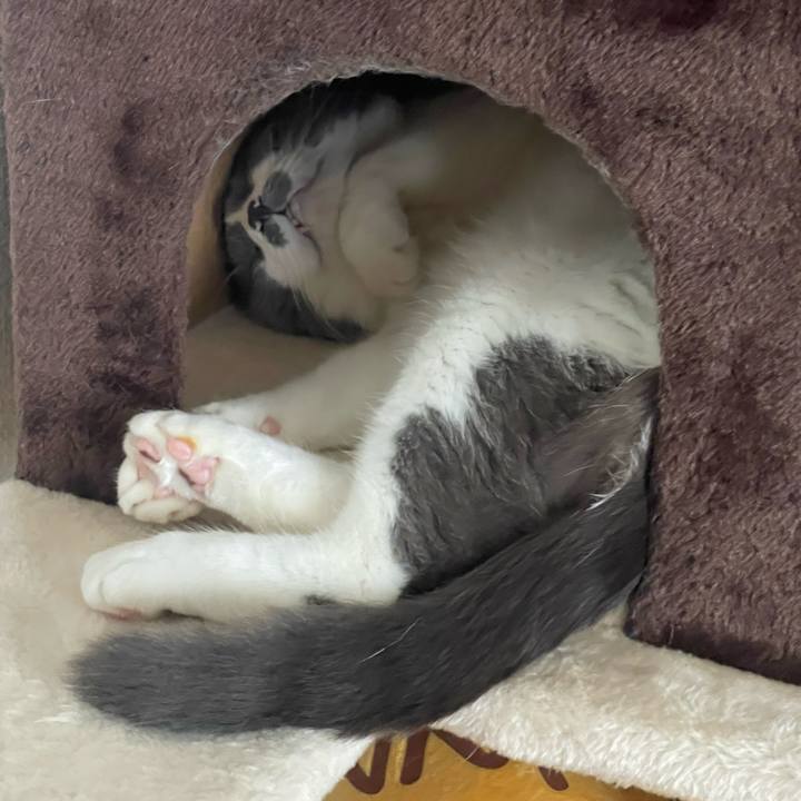 9ad3bb1f 0453 4bdd a7ea f34365e2b892 1720138779327