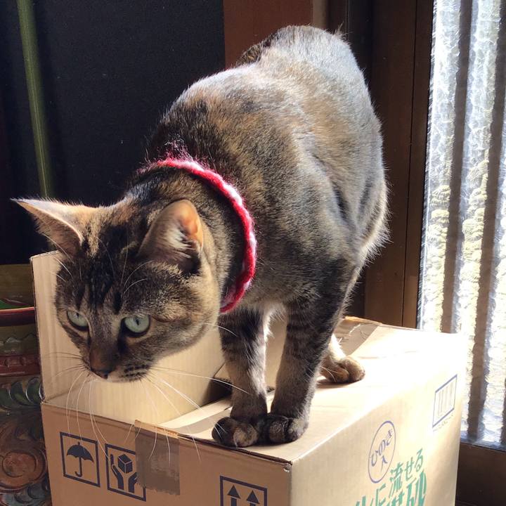 9ad3bc18 39eb 4e73 9fe6 500785e78970 1606709409713