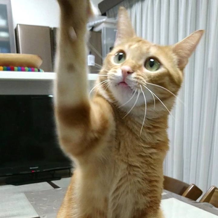 9ad3c3eb 7080 4904 8207 60e29797f78b 1576972579234