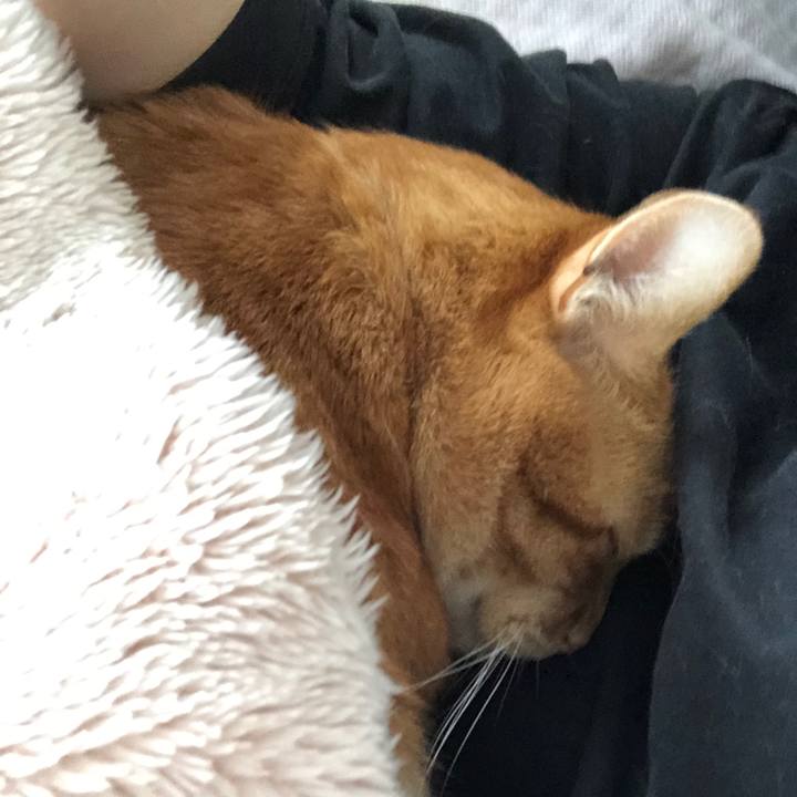 9ad3c7c8 080a 4a1f 9ff3 9f7b58ffad8d 1704015420244