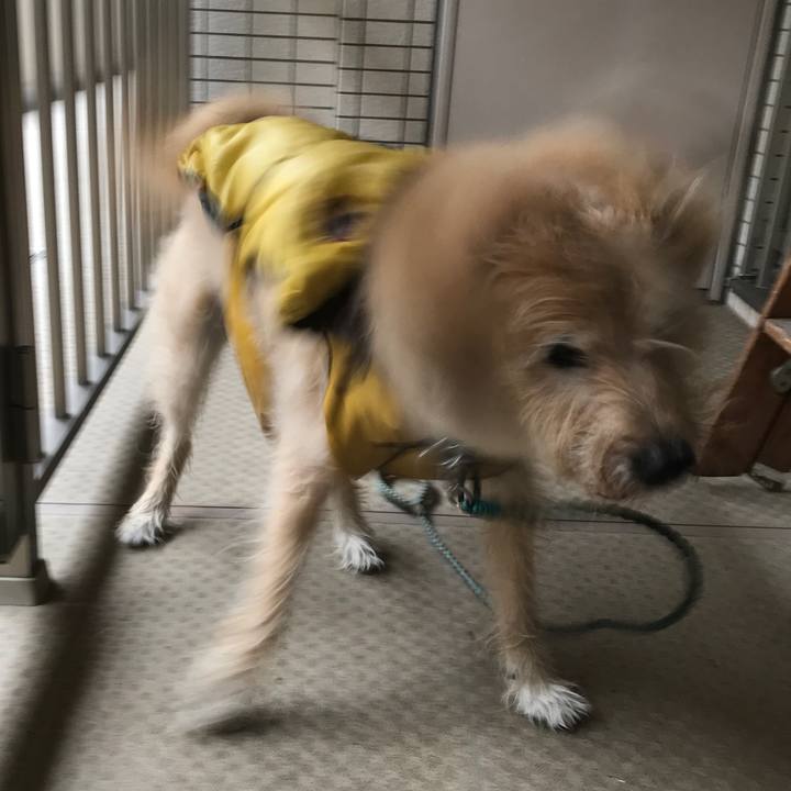 9ad4af73 6923 41c7 920d 1a49a49b7cd2 1538378374638