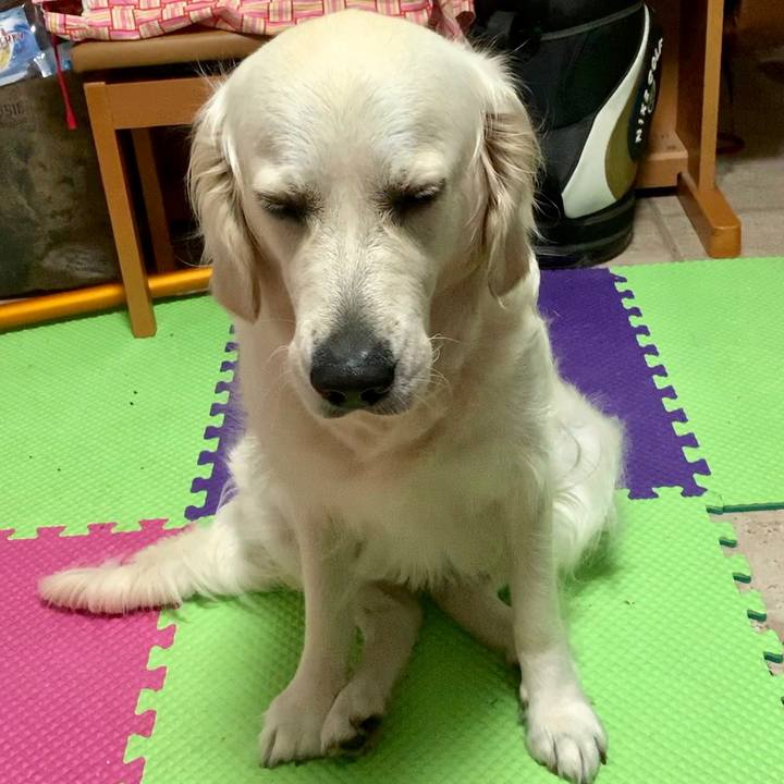 9ad4e82c 1bf6 4c72 8884 d50afcdd71fc 1561706614283