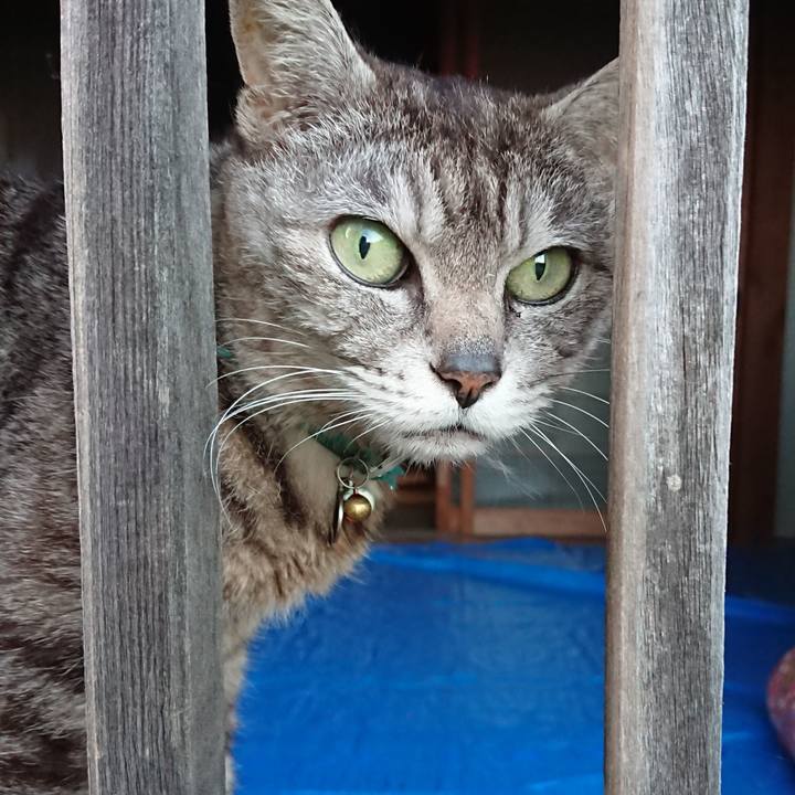 9ad4ed37 7482 4b42 924e 10ee83ba51a2 1561455928242