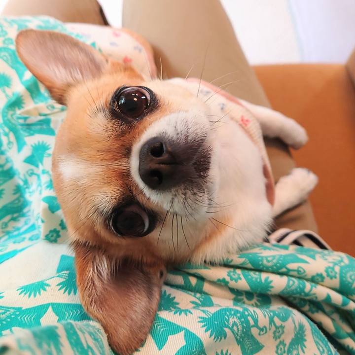 9ad53626 7bf7 4b77 a62e 93a158d7ed16 1684277824164