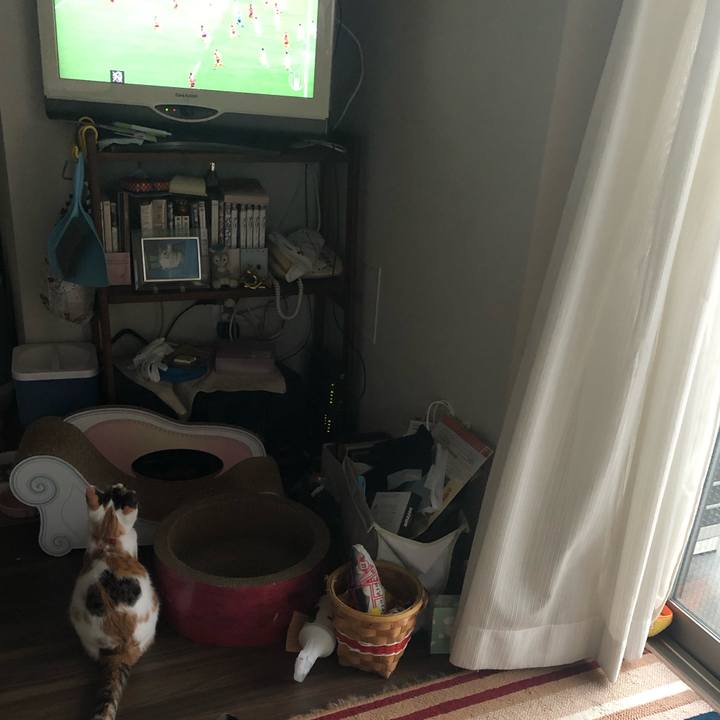 9ad54caa efa5 4994 9d73 4342b18034a2 1570262816497