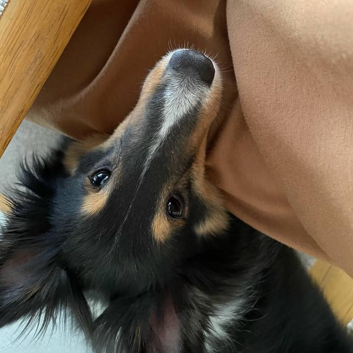 9ad56d29 e6e2 4c3e ab11 583900c91330 1617917348850