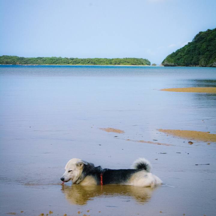 9ad587ee 0445 432f 83b2 5562f613d45b 1595763408074