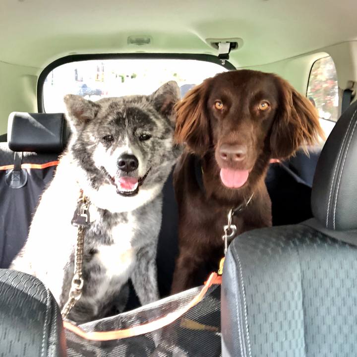 9ad59d0d cab4 4957 a53a 831fc77a457c 1588591998934