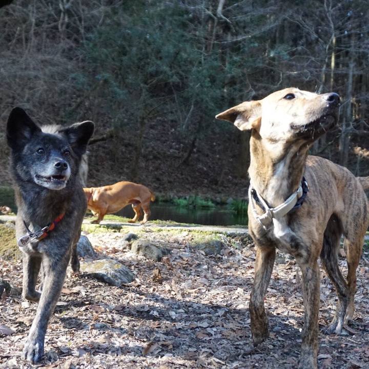 9ad60036 0be2 4163 8cc6 58f7153f4b0c 1582103598946