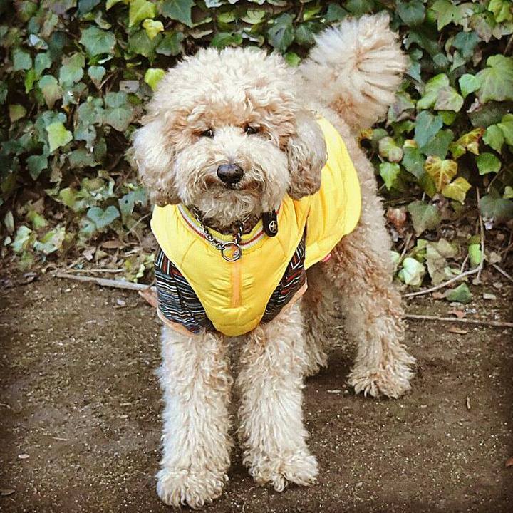 9ad6244a 6d0f 4feb 9e12 f912c4fe5ea5 1512996456843