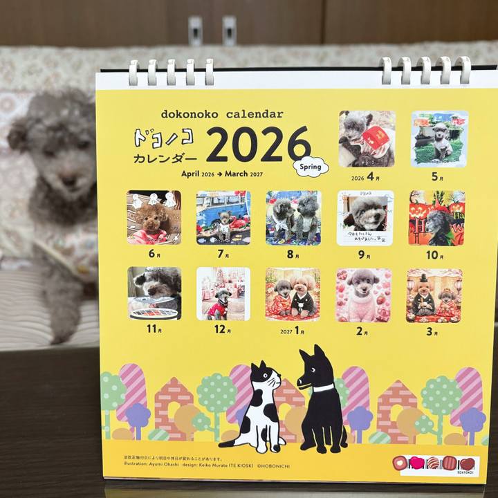 9ad6426a a592 42a4 ab48 47c5595e2422 1773217810797