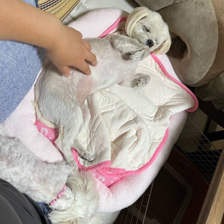 9ad6d86b 5e6b 4e64 b555 b96e9d928caf 1725882453551