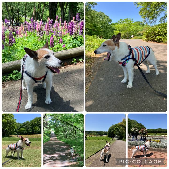 9ad74007 5088 4251 8b14 c57bc10541fc 1714869266704