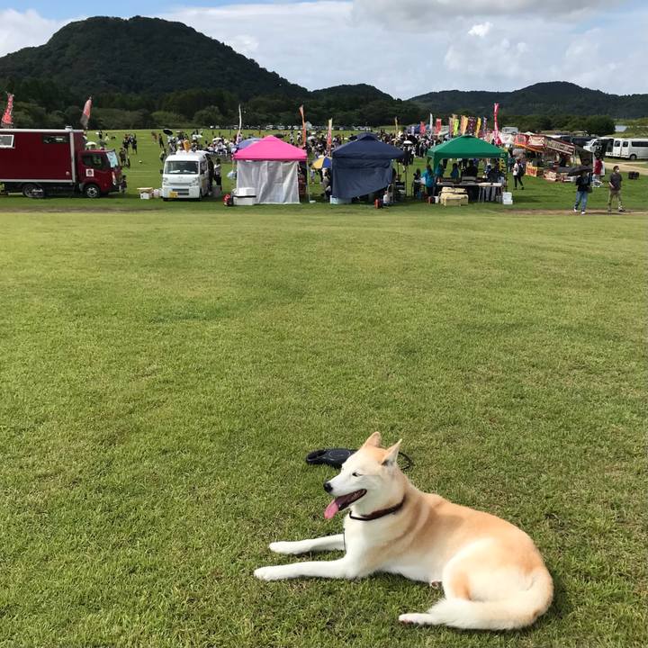 9ad75550 0d4c 47a1 8ed4 bbbdb6d28a50 1759035173488