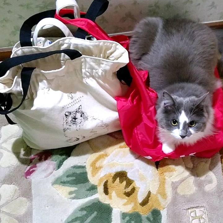 9ad755ae eda9 4602 a730 be72da97b85c 1591226268593