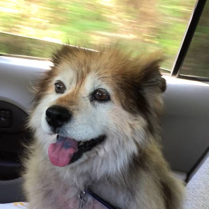 9ad78046 5114 4a4a 8a34 3126702b868f 1598576701647