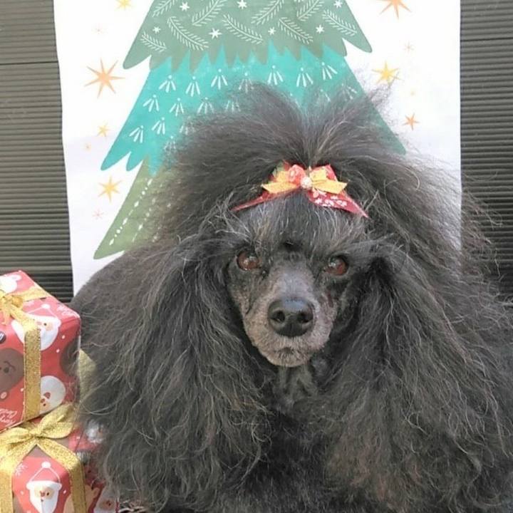 9ad7894d 8d49 412e 9352 55d426cde58d 1670815379597