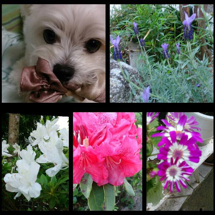 9ad7d158 3090 4968 b43d 05eb7f8d2ebe 1524989482215